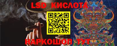 прущие крисы Владимир